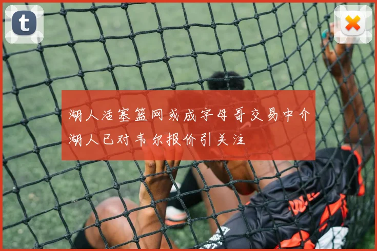 湖人活塞篮网或成字母哥交易中介湖人已对韦尔报价引关注