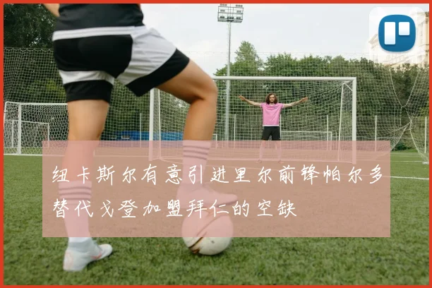 纽卡斯尔有意引进里尔前锋帕尔多替代戈登加盟拜仁的空缺